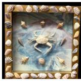 Assortment of Beautiful Seashells including Shell Frame, Apple Murox, Urchins, Scallops and More