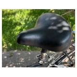 Schwinn Sierra 700 Bicycle