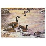 "Wings on the Morning Light" Limited Edition Unframed Print by Dave Maloney