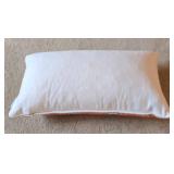 Fun Throw Pillow Collection