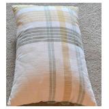 Fun Throw Pillow Collection