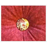 Fun Throw Pillow Collection