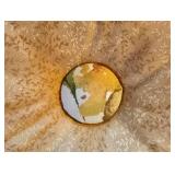 Fun Throw Pillow Collection