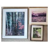 Three Framed & Matted Nature Photographs