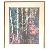 Three Framed & Matted Nature Photographs