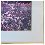 Three Framed & Matted Nature Photographs