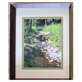 Three Framed & Matted Nature Photographs