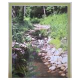 Three Framed & Matted Nature Photographs