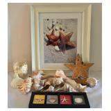 Starfish Art, Natural Shells & More