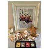 Starfish Art, Natural Shells & More