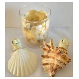 Starfish Art, Natural Shells & More