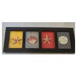 Starfish Art, Natural Shells & More