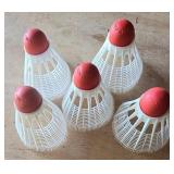 Vintage Badminton & Roller Skating Options