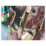 Collection of Vintage Accordion Paper Decorations including German Foil