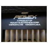 PEAVEY TKO 115 AMP