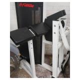 LIFE FITNESS ARM CURL