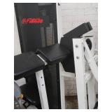 LIFE FITNESS ARM CURL