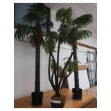 DECORATIVE PALM TREE TRIO