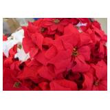 FAKE POINTSETTIAS AND FISH DECOR