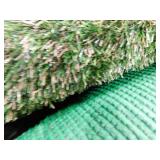 12x9 Indoor/Outdoor Grass