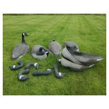 8 Large Canadian Geese Decoys or use for Displaly