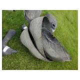 8 Large Canadian Geese Decoys or use for Displaly