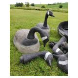 8 Large Canadian Geese Decoys or use for Displaly