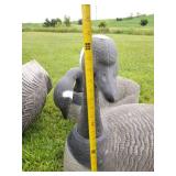 8 Large Canadian Geese Decoys or use for Displaly
