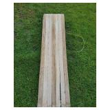 Vintage Mustang Glass Fused Toboggan