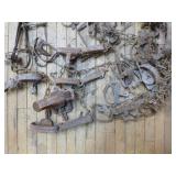 Bucket of Animal Traps