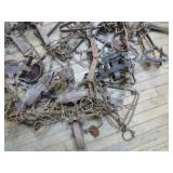 Bucket of Animal Traps