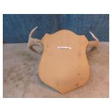 Mounted Deer Antlers