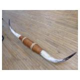 Mounted Longhorn Steer Horns