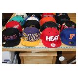 Baseball Hat Collection Vikings Heat Pistons Gophers Wild Red Wings Flat Brim