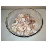 Large Bowl Filled with Shells