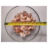 Large Bowl Filled with Shells