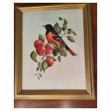 "Baltimore Oriole" by K. Shoop