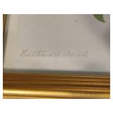 "Baltimore Oriole" by K. Shoop