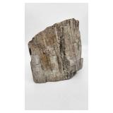 Nice Heavy Petrified Wood Specimin - Weighs approx 3 Pounds