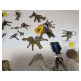 Large Lot of Keys