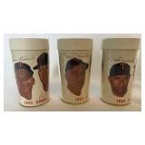 Minnesota Twins 1965 American League Champions Vintage Cup Set