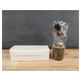 Brand New Seven Chakra Wooden Root Money Tree in Original Packaging