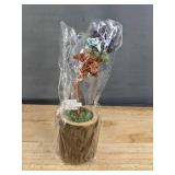 Brand New Seven Chakra Wooden Root Money Tree in Original Packaging
