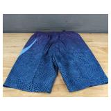 Brand New Nike Swim Trunks Blue and Purple Men
