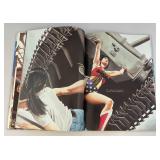 DC Comics WONDER WOMAN Spirit Of Truth Large Graphic Novel