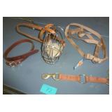 Dog harness, muzzle, leash