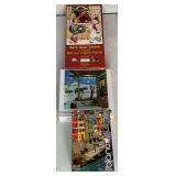 Massive Lot of 300 Piece Puzzles - Lot 2 - Includes 30 Puzzles