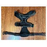 XL Hardside Pet Carrier and Dog Accessory Bundle