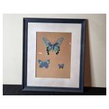 Framed & Signed Butterfly Artwork by Pepe Gomez