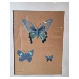 Framed & Signed Butterfly Artwork by Pepe Gomez